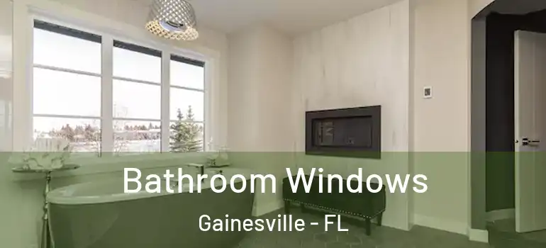 Bathroom Windows Gainesville - FL