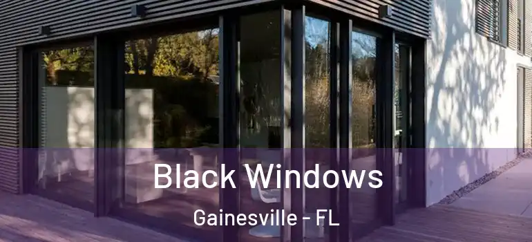 Black Windows Gainesville - FL