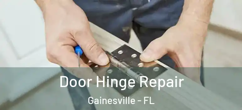 Door Hinge Repair Gainesville - FL