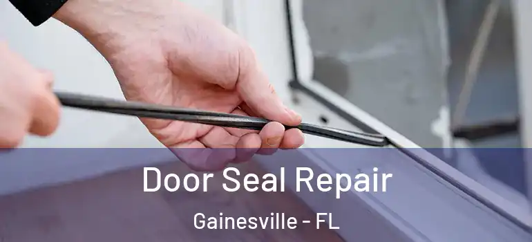 Door Seal Repair Gainesville - FL