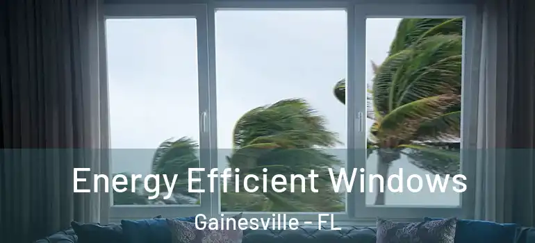 Energy Efficient Windows Gainesville - FL