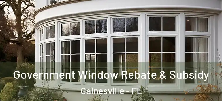 Government Window Rebate & Subsidy Gainesville - FL