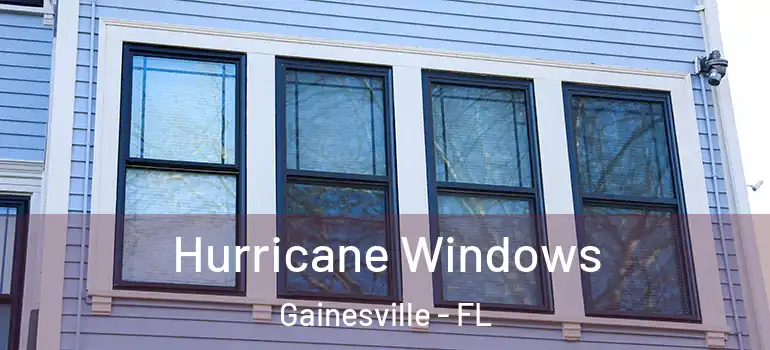 Hurricane Windows Gainesville - FL