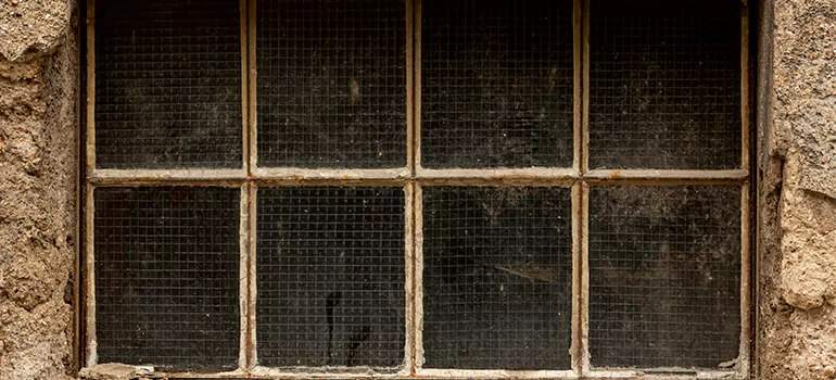 Traditional Double Front Doors in Gainesville, FL