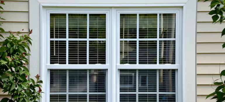Custom Double Hung Windows in Gainesville, FL