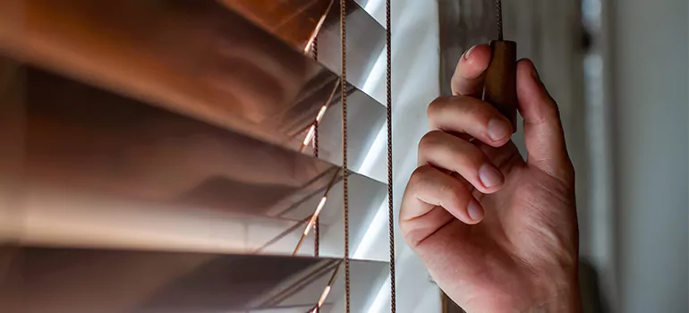 Double Roller Blinds in Gainesville, FL