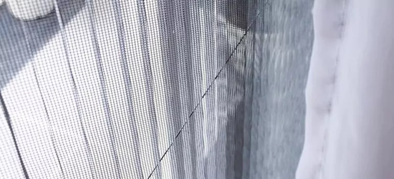 Fixing Screen Window Mesh in Gainesville, FL