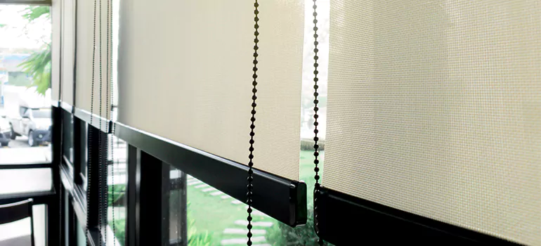 Blackout Window Shades in Gainesville, FL