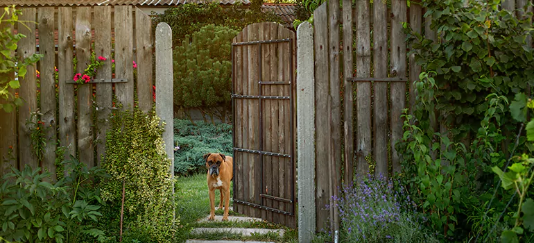 Winter Garden Garage Door Repair in Gainesville,[location field=state]