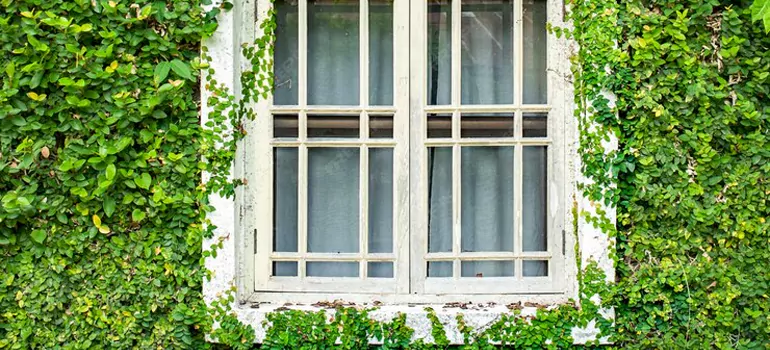 Garden Window Repair Near Me in Gainesville, FL
