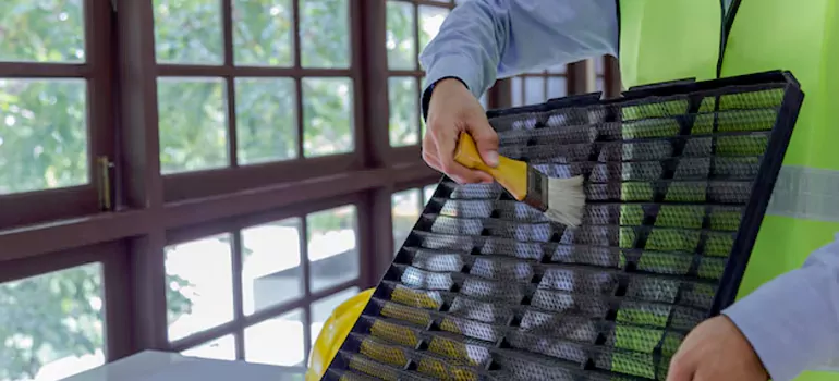 Traditional Window Grille Installation Options in Gainesville, FL