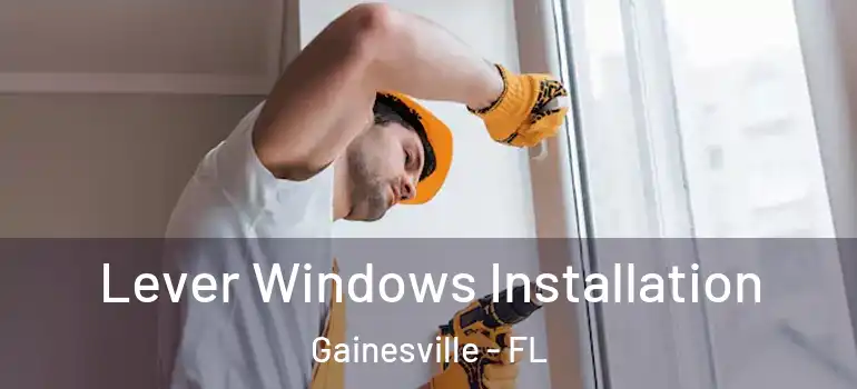 Lever Windows Installation Gainesville - FL