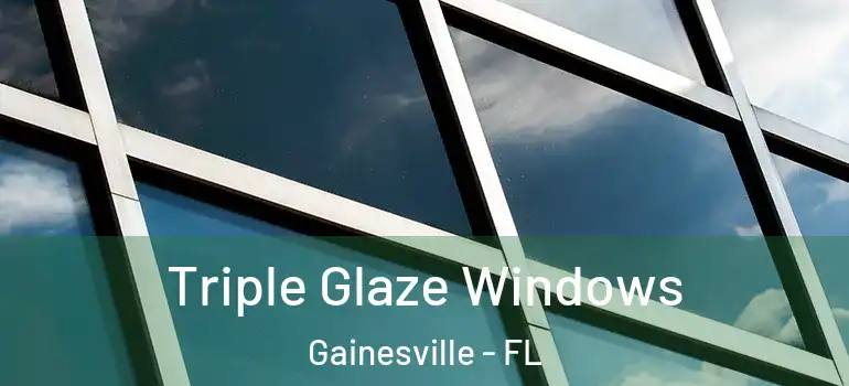 Triple Glaze Windows Gainesville - FL