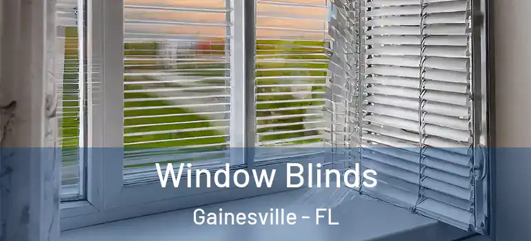 Window Blinds Gainesville - FL
