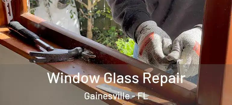 Window Glass Repair Gainesville - FL