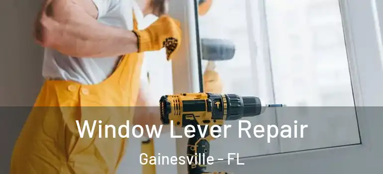 Window Lever Repair Gainesville - FL