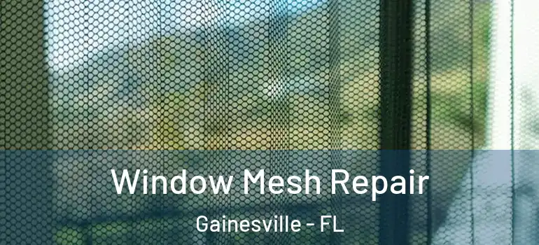 Window Mesh Repair Gainesville - FL