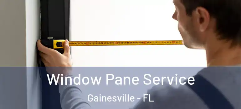 Window Pane Service Gainesville - FL