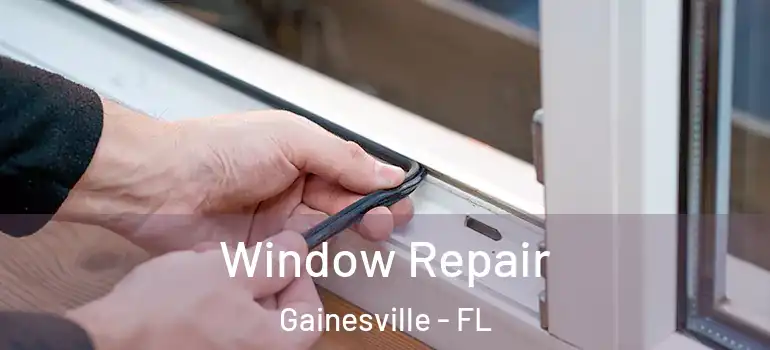 Window Repair Gainesville - FL